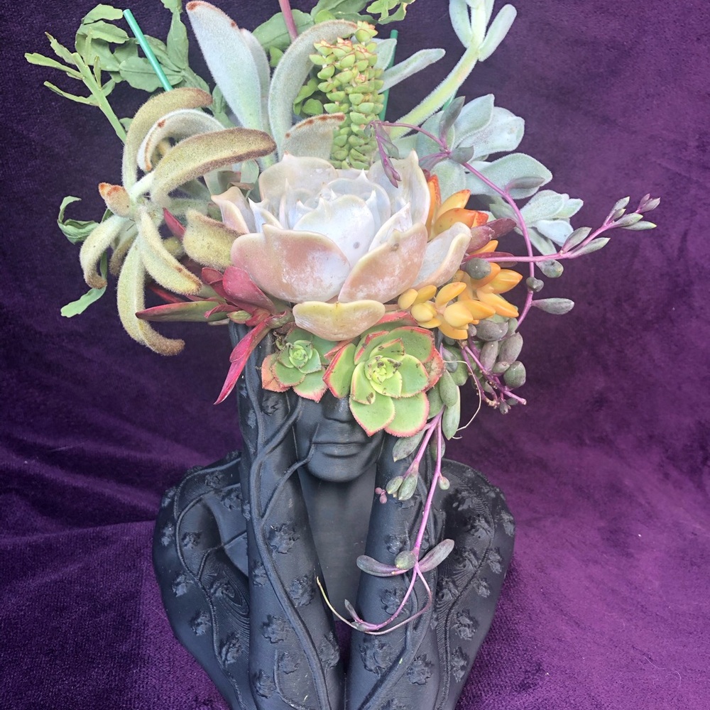 Artistic Black Bust Planter with Lush Succulents